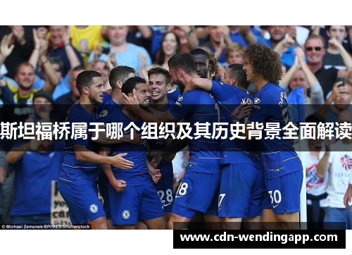 斯坦福桥属于哪个组织及其历史背景全面解读