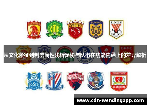 从文化象征到制度属性浅析足协与队徽在功能内涵上的差异解析