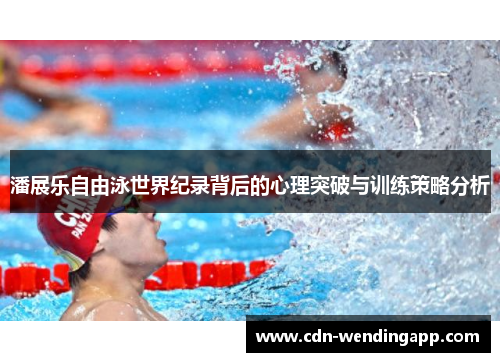 潘展乐自由泳世界纪录背后的心理突破与训练策略分析