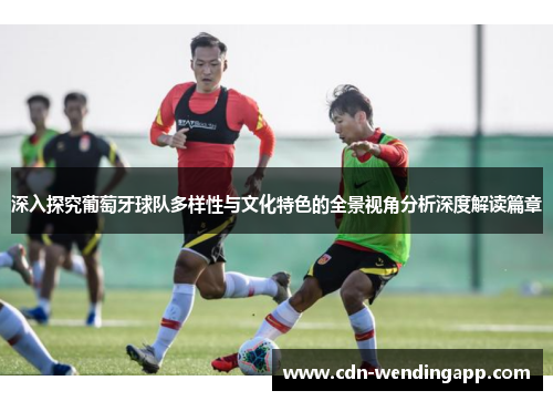 深入探究葡萄牙球队多样性与文化特色的全景视角分析深度解读篇章