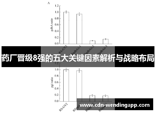 药厂晋级8强的五大关键因素解析与战略布局