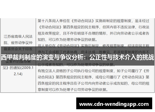 西甲裁判制度的演变与争议分析：公正性与技术介入的挑战