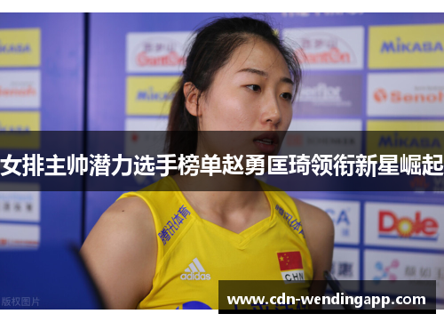 女排主帅潜力选手榜单赵勇匡琦领衔新星崛起