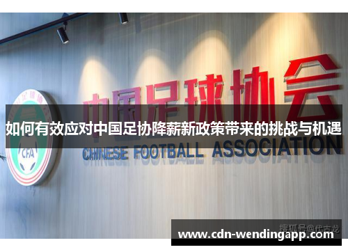 如何有效应对中国足协降薪新政策带来的挑战与机遇
