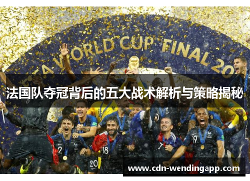 法国队夺冠背后的五大战术解析与策略揭秘