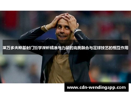 莱万多夫斯基射门哲学深析精准与力量的完美融合与足球技艺的相互作用