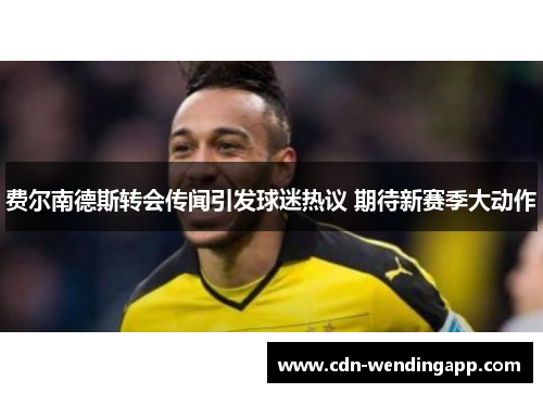 费尔南德斯转会传闻引发球迷热议 期待新赛季大动作